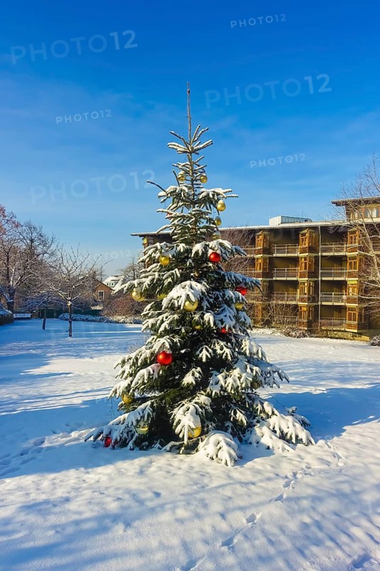 Christmas tree in the snow, Christmas tree, winter landscape, Christmas motif, Christmas, Christmas festival, Advent season, Christmas baubles, jewellery, Advent season, Christmas card motif, architecture, behind Behnisch building in Ringelbach, style-defining building from 1977, Reutlingen, Baden-Württemberg, Germany, Europe
