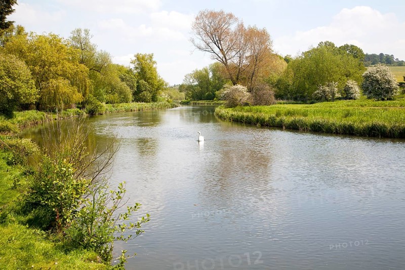 River Avon chalk river at Middle Woodford, Woodford Valley, near Salisbury, Wiltshire, England, United Kingdom, Europe