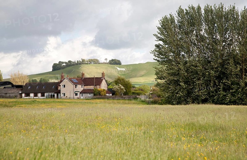 View over fields and farmhouse to the White Horse figure on the chalk scarp slope on Cherhill Down, Wiltshire, England, United Kingdom, Europe