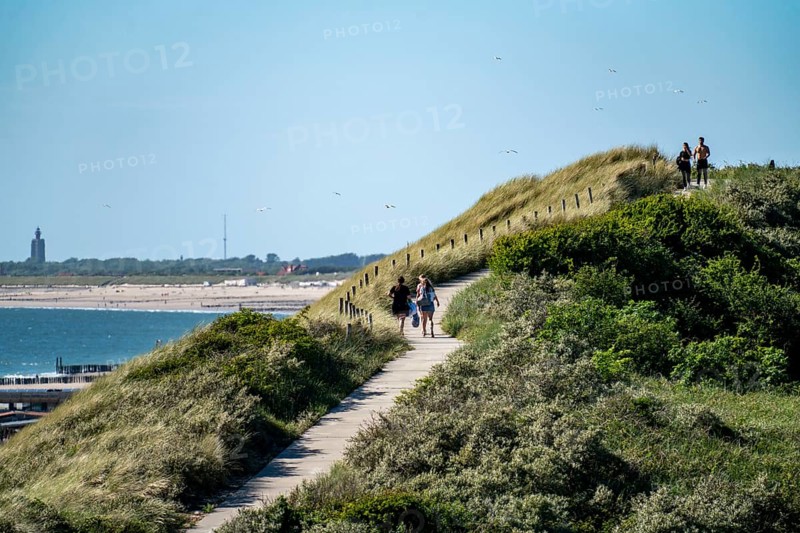 Dunes, hiking trail, beach near Zoutelande province of Zeeland, Walcheren peninsula, Netherlands