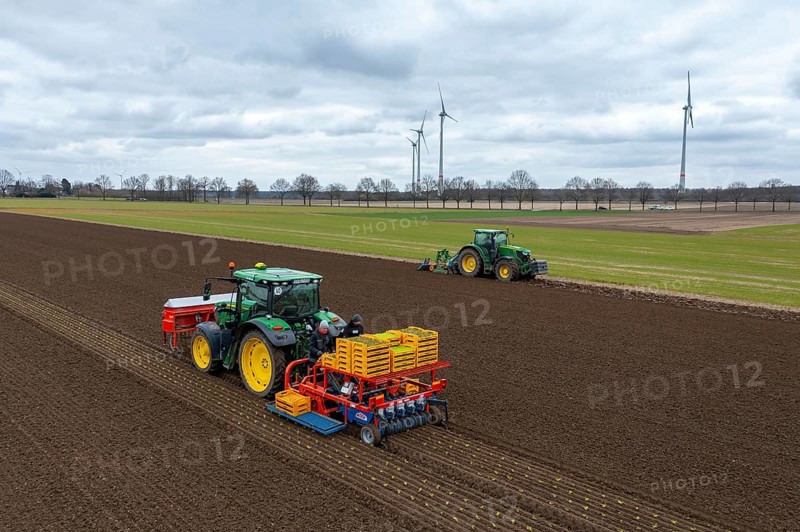 Lettuce plants are planted with a planting machine, tractor with roundabout harrow prepares the soil, agriculture, spring