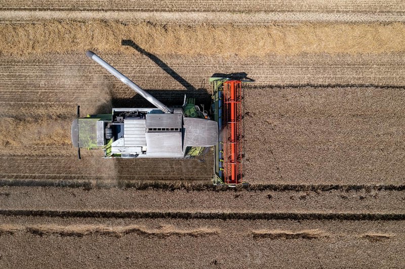 Agriculture, grain harvest, wheat, combine harvester harvesting in a wheat field, near Niederkrüchten, North Rhine-Westphalia, Germany, Europe