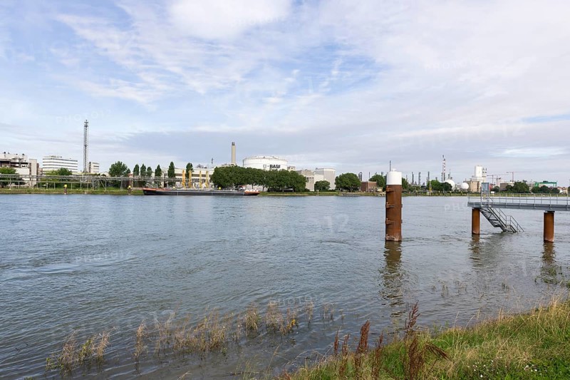 BASF, Lugwigshafen am Rhein, industrial area, bollard, jetty, Mannheim, Baden-Württemberg, Germany, Europe