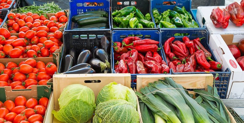 Market stall with a colourful selection of fresh vegetables such as peppers, courgettes, aubergines, tomatoes, leeks and cabbage, Plaza Mayor, Plasencia, Cáceres, Caceres, Extremadura, Spain, Europe