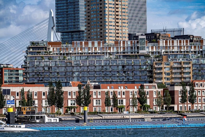 Harbour basin of the Maashaven, inland waterway port, jetties, residential buildings in the Kop van Zuid and Katendrecht district, almost all buildings have been built or rebuilt in recent years, popular residential area, structural change, Rotterdam, Netherlands