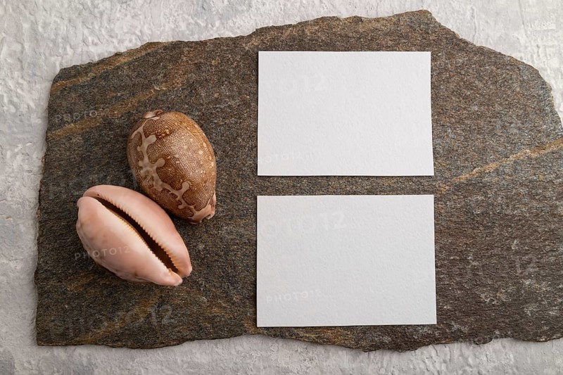 White paper business card, mockup with natural stone and seashell on gray concrete background. Blank, flat lay, top view, still life, copy space
