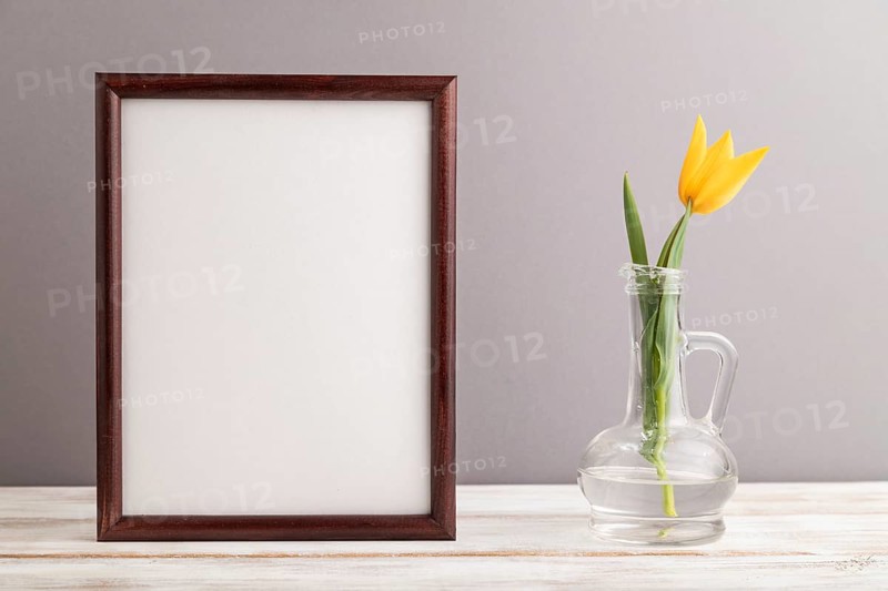 Wooden frame with orange tulip flower in glass on gray pastel background. side view, copy space, still life, mockup, template, spring, summer minimalism concept
