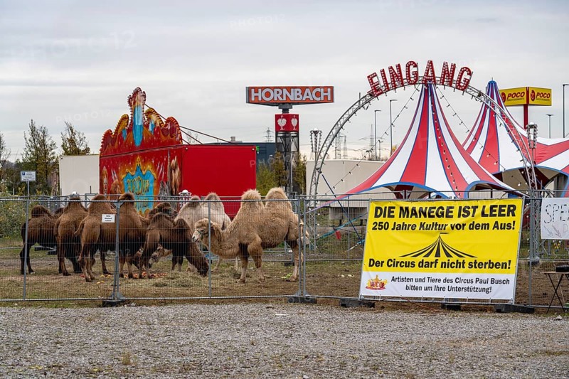 Circus Paul bush, shut down during the second corona lockdown, in Oberhausen, with posters pointing out the difficult situation of circus businesses during the pandemic, Oberhausen North Rhine-Westphalia, Germany, Europe