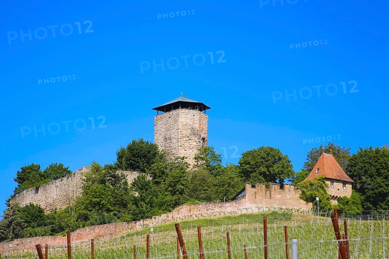 Hohenbeilstein Castle, hilltop castle, vineyards, Beilstein, Heilbronn district, Baden-Württemberg, Germany, Europe