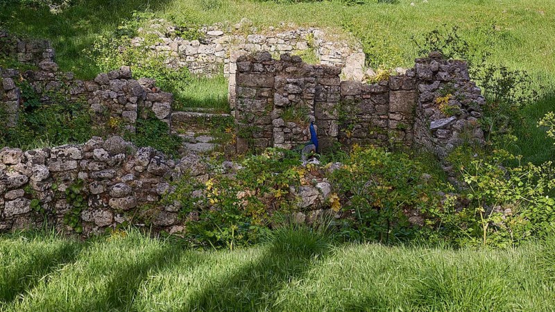 Ruins of Byzantine churches, stone ruins overgrown with plants in a green environment, peacock (pavos) in ruins, Filerimos, hill not far from Rhodes town, Ancient State of Ialyssos, Rhodes, Dodecanese, Greek Islands, Greece, Europe