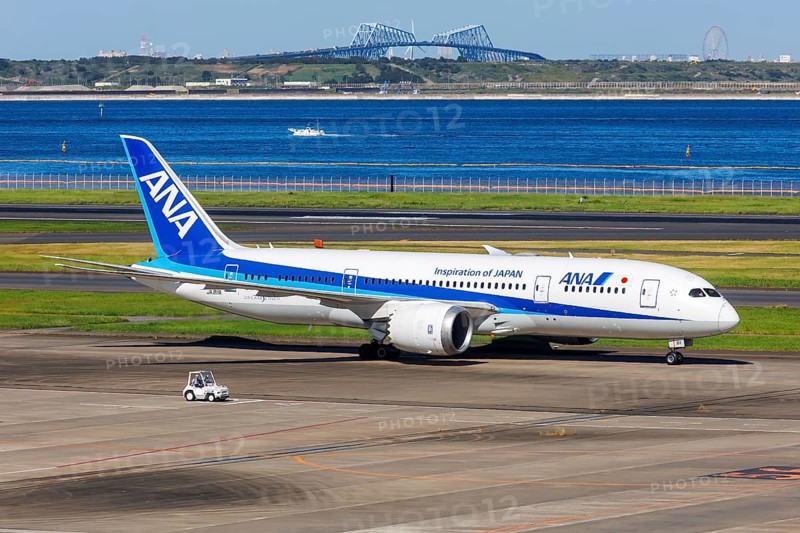 An ANA All Nippon Airways Boeing 787-8 Dreamliner aircraft with registration number JA811A at Tokyo Haneda Airport, Japan, Asia