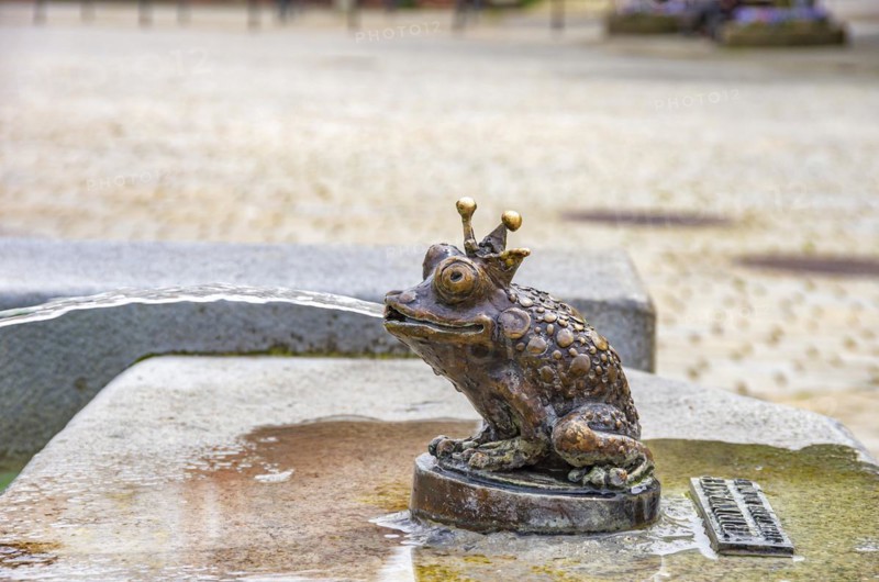 Frog King, bronze figure at the Theodul Fountain on the market square in Ehingen an der Donau, Baden-Württemberg, Germany, Europe