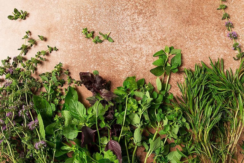 Assortment of herbs, spices, top view, set, basil, tarragon, ombalo, rosemary, food background, concept