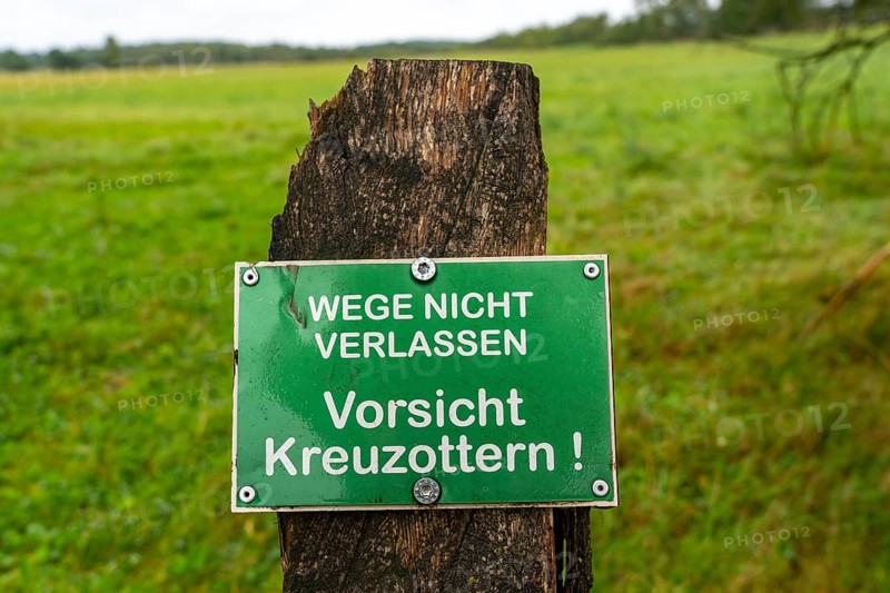 The Pietzmoor, raised bog in the Lüneburg Heath nature reserve, warning of adder snakes, near Schneverdingen, Lower Saxony, Germany, Europe