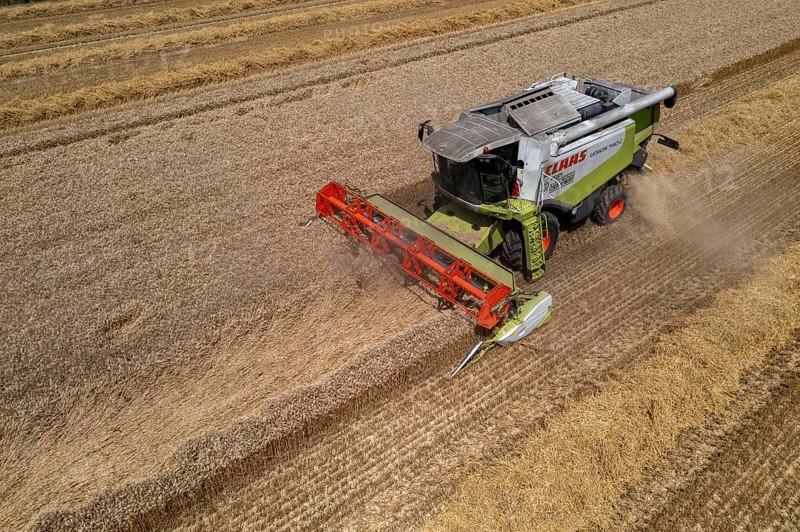 Agriculture, grain harvest, wheat, combine harvester harvesting in a wheat field, near Niederkrüchten, North Rhine-Westphalia, Germany, Europe