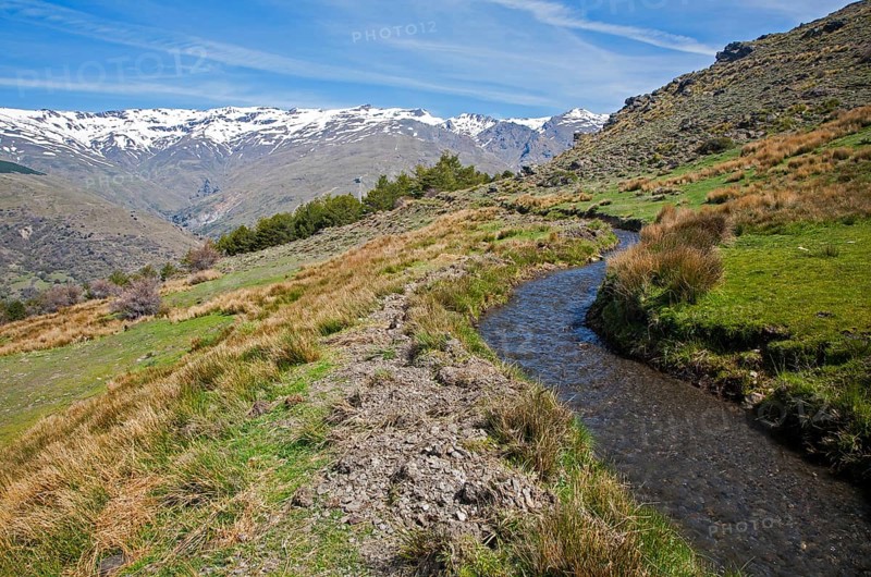 Water channel for irrigation known as an acequia, Sierra Nevada Mountains in the High Alpujarras, near Capileira, Granada Province, Spain, Europe