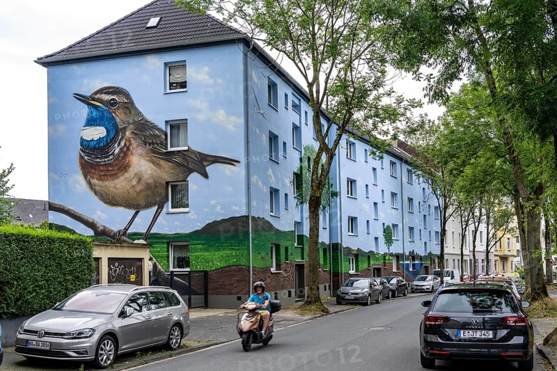 Residential buildings on Feldsieper Straße in Bochum, after an energy-efficient refurbishment, with facade insulation, the Bochumer Wohnstätten Wohnungsgenossenschaft had the buildings painted with a large mural by Dortmund graffiti artist Denis Klatt, it shows a bluethroat and a landscape with trees, life below ground and lots of sky on the entire facade, Bochum-Hamme, North Rhine-Westphalia, Germany, Europe