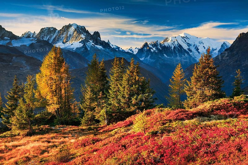 View of the Aiguille Verte and Mont Blanc in the first morning light in the Savoy, France, Europe