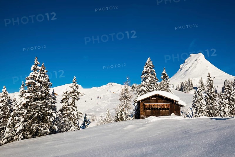 Snow-covered mountains and mountain hut, Damülser Mittagspitze, Damüls, Bregenzerwald, Vorarlberg, Austria, Europe