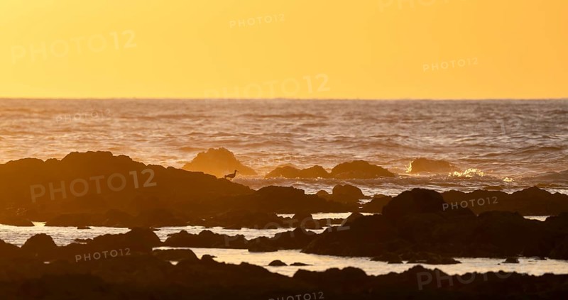 Evening mood, Marino Ballena National Park, coast with waves, South Pacific Ocean, Puntarenas Province, Osa, Costa Rica, Central America