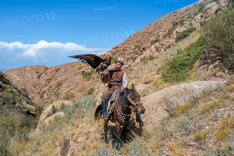 Traditional Kyrgyz eagle hunter with eagle in the mountains, hunting on horseback, near Kysyl-Suu, Kyrgyzstan, Asia