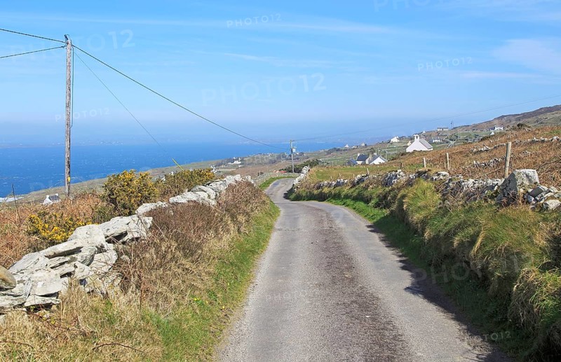 Road along west coast of Cape Clear Island, County Cork, Ireland, Irish Republic, Europe