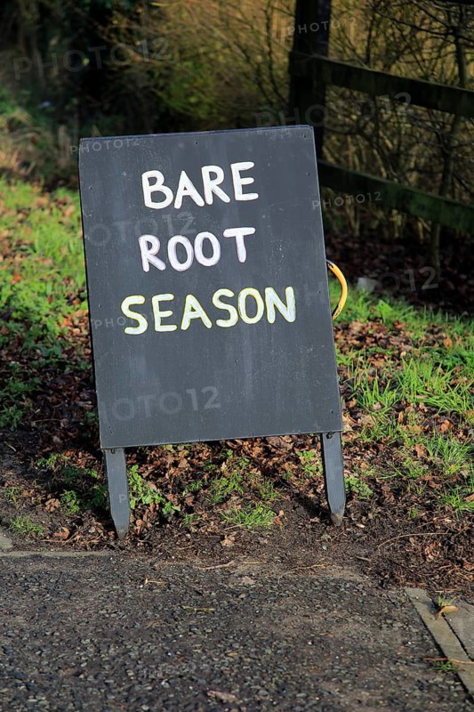 Sign at tree nursery for Bare Root Season, Crown Nursery, Ufford, Suffolk, England, UK
