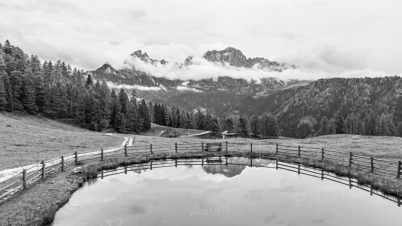 Alpine meadow and Wuhnleger Weiher, in the background the peaks of the rose garden, shrouded in fog, drone shot, black and white, Dolomites, Autonomous Province of Bolzano, South Tyrol, Italy, Europe