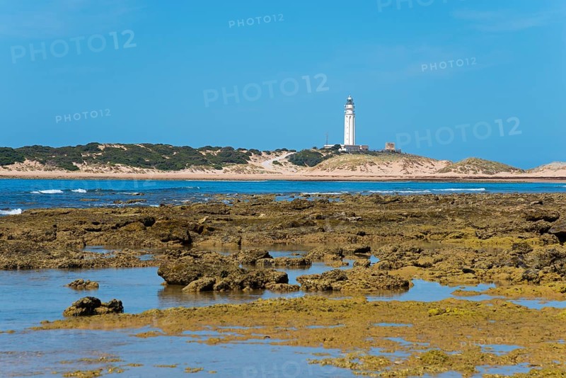 A lighthouse stands on a rocky coast with a blue sky and calm sea in the background, Faro de Trafalgar, Cape Trafalgar, Cádiz province, Costa de la Luz, Andalusia, Spain, Europe