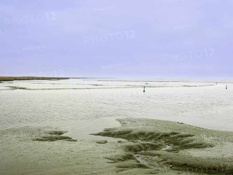 Low tide, mudflats, Dollart, Nieuwe Statenzijl, Netherlands