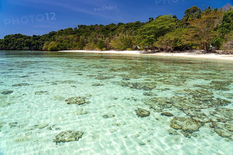 Coral reef on the dream beach of Ao-niang on the island of Koh Kradan in the Andaman Sea, voted the most beautiful beach in the world in 2023, Thailand, Asia