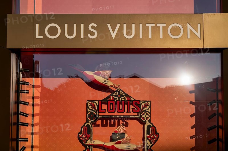 Louis Vuitton brand store, logo, shop window, retail shop, Dorotheen Quartier, DOQU, shopping mall, Stuttgart, Baden-Württemberg, Germany, Europe