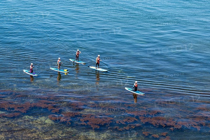 People on paddleboards, White Cliffs. Old Harry Rocks Jurassic Coast, Dorset Coast, Poole, England, United Kingdom, Europe