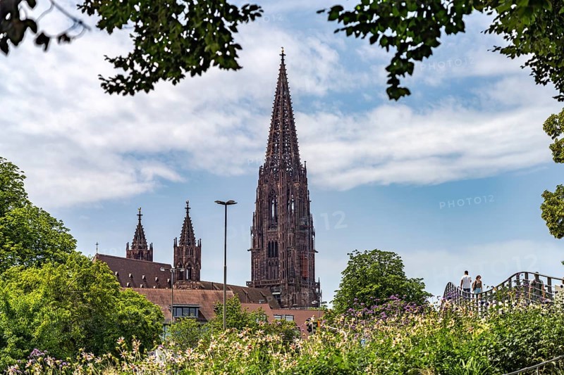 View of Freiburg Minster from the Stadtgarten, Freiburg im Breisgau, Black Forest, Baden-Württemberg, Germany, Europe