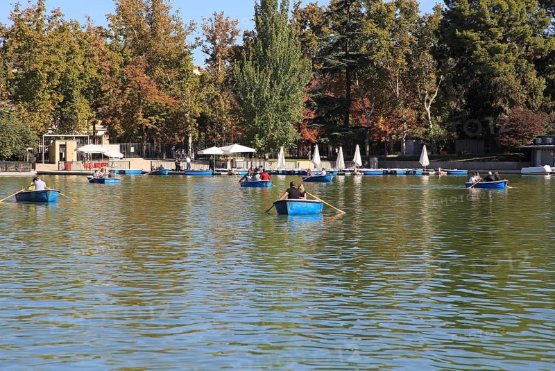 Rowing boats in boating pond of Estanque, El Retiro park, Madrid, Spain, Europe