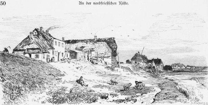 Seawall on Pellworm, North Frisia, North Sea, Schleswig-Holstein, thatched houses, sheep, village, idyll, Germany, historical illustration 1880, Europe