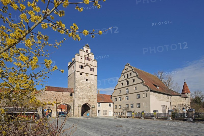 Nördlinger Tor with town fortifications, town wall and historic town mill, spring, town gate, town tower, Dinkelsbühl, Middle Franconia, Franconia, Bavaria, Germany, Europe
