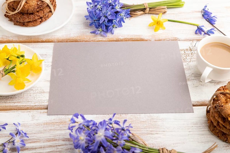 Gray paper sheet with oatmeal cookies, spring snowdrop flowers bluebells, narcissus and cup of coffee on white wooden background. side view, copy space, still life. Breakfast, morning, spring concept