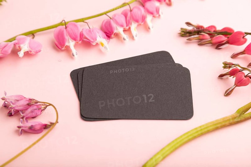 Black business card with pink dicentra, broken heart flowers on pink pastel background. side view, copy space, mockup, template, spring, summer minimalism concept