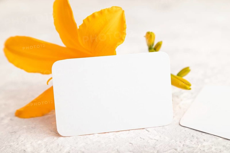 White paper business card mockup with orange day-lily flower on gray concrete background. Blank, side view, copy space, still life. spring concept
