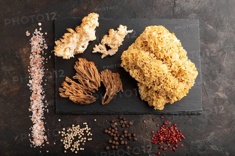 Raw Sparassis (Cauliflower Mushroom), Hericium, Clavaria (coral mushroom) on black concrete background with salt and spices. Top view, flat lay