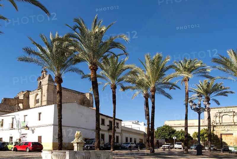 Historic Plaza del Mercado, Barrio de Santiago, Iglesia de San Mateo, Jerez de la Frontera, Spain, Europe