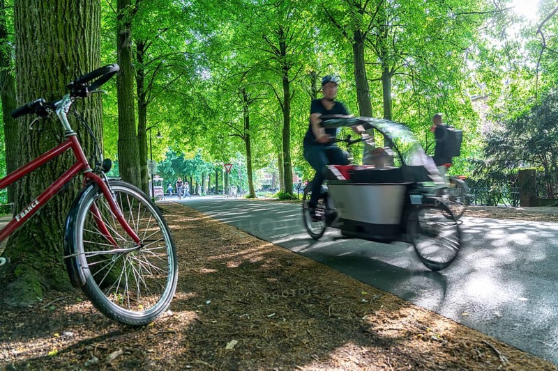 Promenade cycle path, tree-lined, car-free, approximately 4.5 km long ring road around the city centre of Münster, North Rhine-Westphalia, Germany, Europe