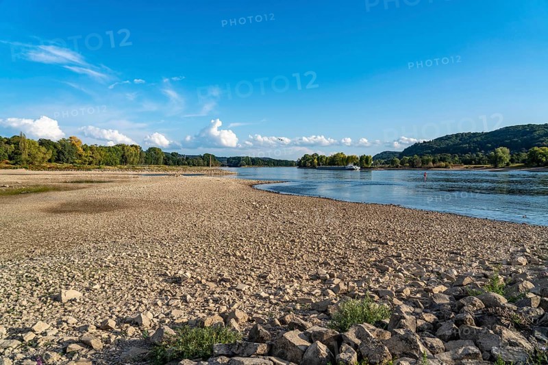The Rhine at extremely low water, near Bad Honnef Rhöndorf, below the Drachenfels, Nonnenwerth Island, dry Rhine banks, cargo ship, with very reduced cargo, North Rhine-Westphalia, Germany, Europe