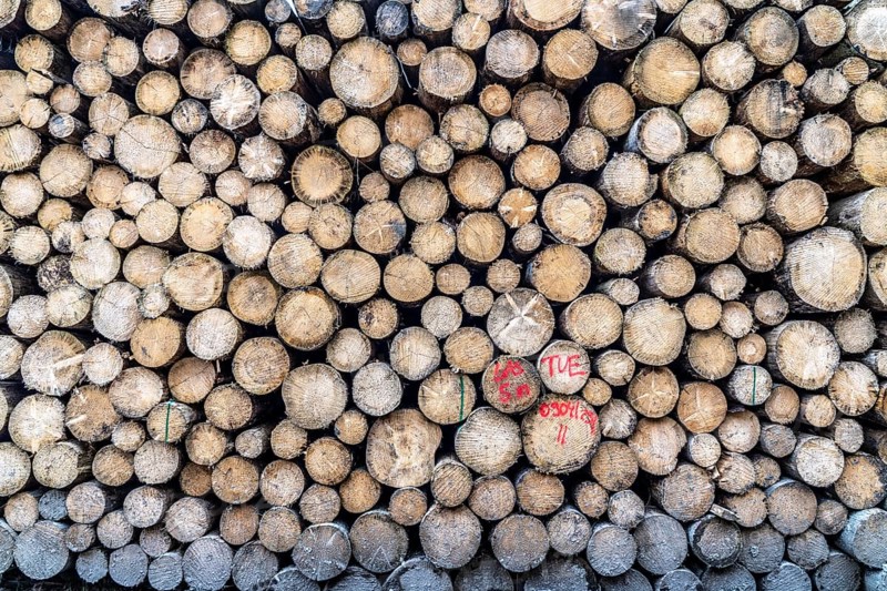 Felled, stacked spruce trunks, forest dieback in the Arnsberg Forest nature park Park, over 70 per cent of the spruce trees are diseased, damaged, mostly by the bark beetle, which was able to spread due to drought and heat, climate change, near Hirschberg, North Rhine-Westphalia, Germany, Europe