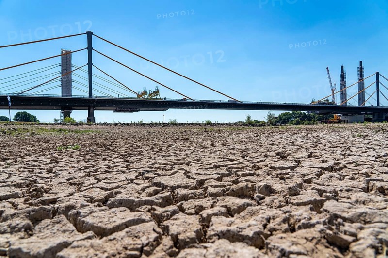 Rhine at Duisburg, extremely low water, Rhine level at 168 cm, tendency falling, after the long drought the right bank of the Rhine, at Duisburg-Neuenkamp, dry, in the background the motorway bridge Neuenkamp, A40, and construction site of the new Rhine bridge next to it, North Rhine-Westphalia, Germany, Europe