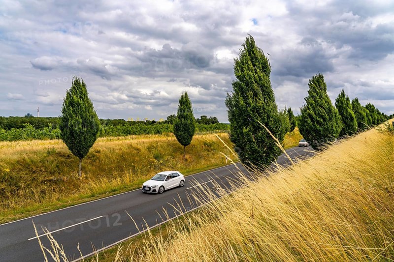Dorstfelder Allee in Dortmund, completely new road built in 2013, former farmland, in the Dorstfeld district, Tuscany-style tree avenue with 92 new trees, North Rhine-Westphalia, Germany, Europe