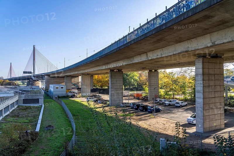 Friedrich Ebert Bridge over the Rhine near Bonn, also known as the North Bridge, motorway bridge on the A565, cable-stayed bridge, foreland bridges, North Rhine-Westphalia, Germany, Europe