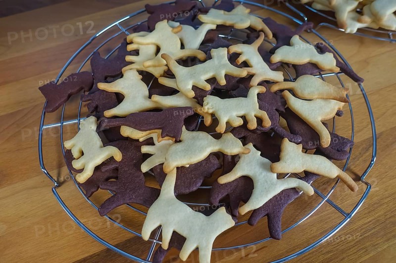 Swabian cuisine, Swabian Christmas biscuits, cookie cutters, shortbread biscuits, cat figures, black pastries with cocoa, white biscuits, typical Swabian, baking, Christmas biscuits, sweet biscuits, Gutsle, Bredle, baked goods, from the oven, cooling rack, cake rack, traditional cuisine, food photography, studio, Germany, Europe