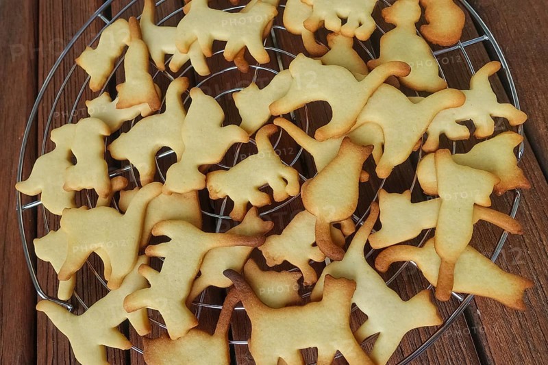 Swabian cuisine, Swabian Christmas biscuits, Ausstecherle, shortbread biscuits, cat figurines, typical Swabian, baking, Christmas biscuits, sweet biscuits, Gutsle, Bredle, baked goods, from the oven, cooling rack, cake rack, traditional cuisine, food photography, studio, Germany, Europe
